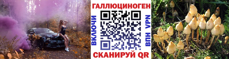 Галлюциногенные грибы прущие грибы  даркнет сайт  Чулым 